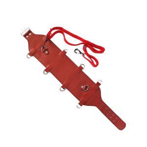 قیمت بلت