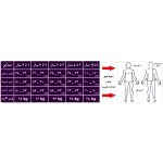 لباس کمکی راه رفتن کودکان گامینو